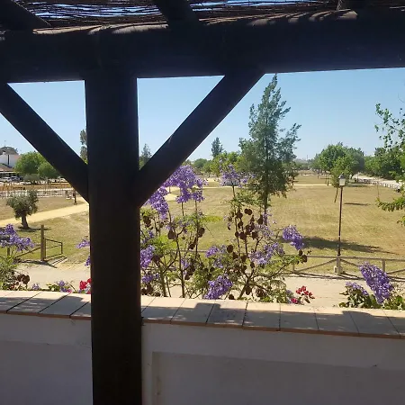 Lince El Rocío